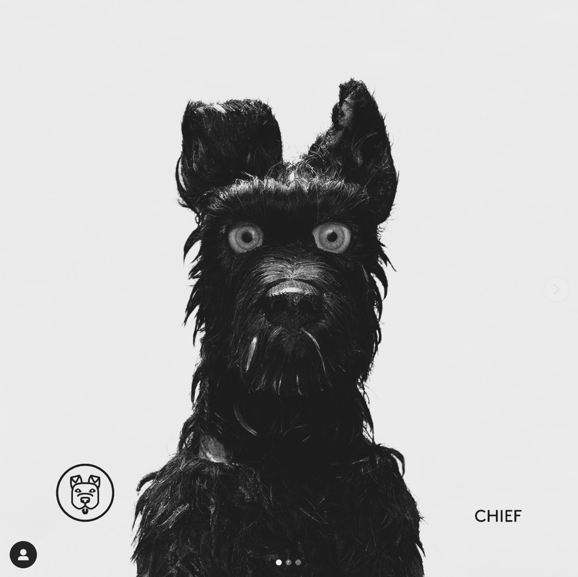 profile img vera profile img