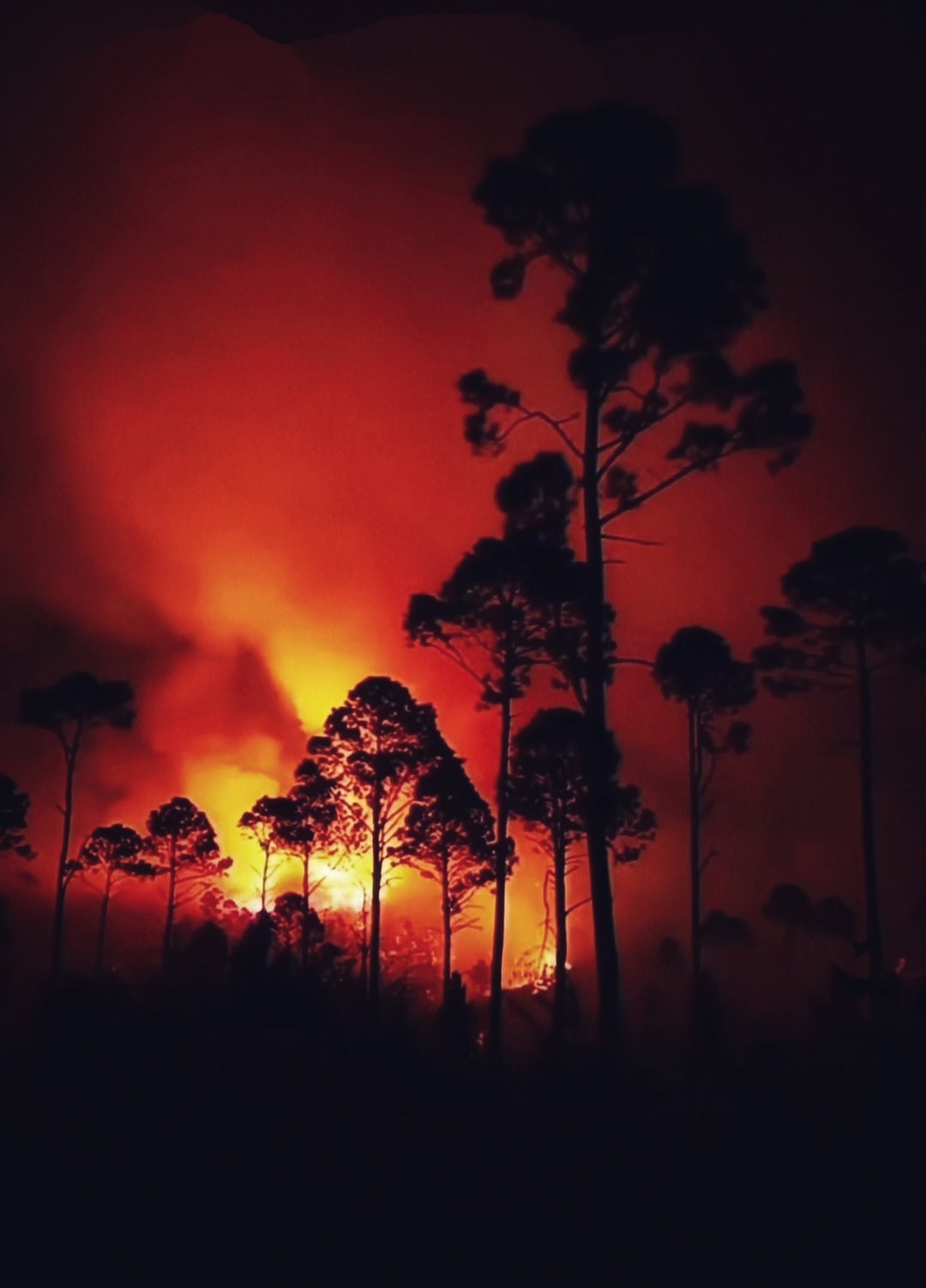 INFIERNO EN MI TIERRA