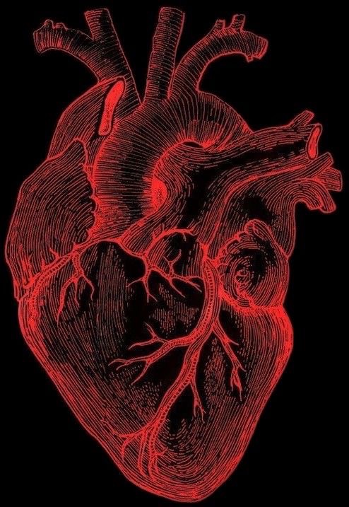 Ecos de un corazón ardiendo 