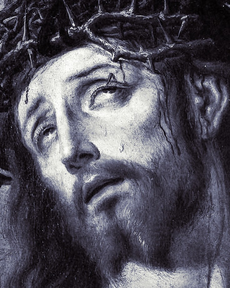 cristo se pudrió en mi boca