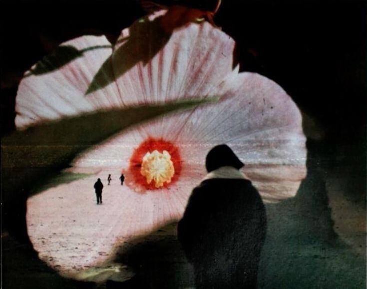 Latencia de un susurro