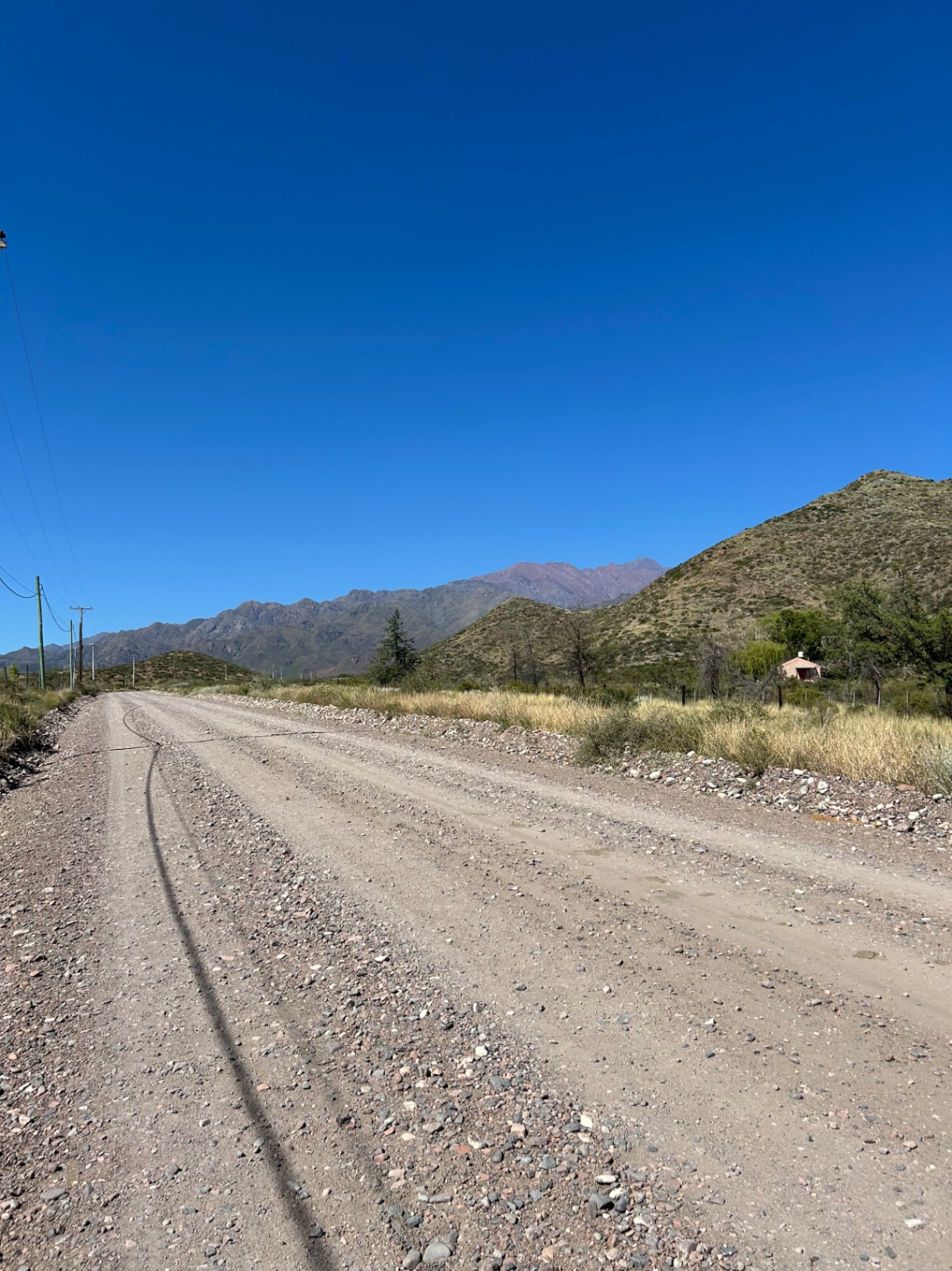 ivan martinez cover img