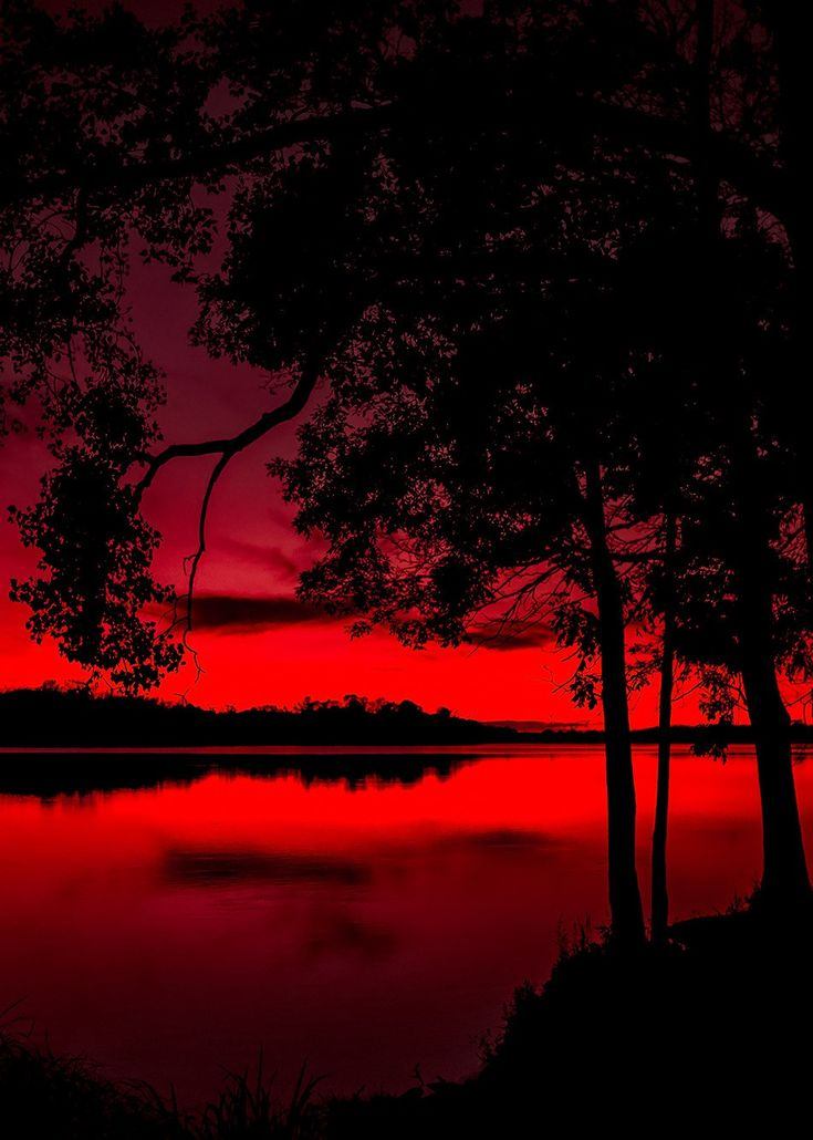 Renacer en el crepúsculo