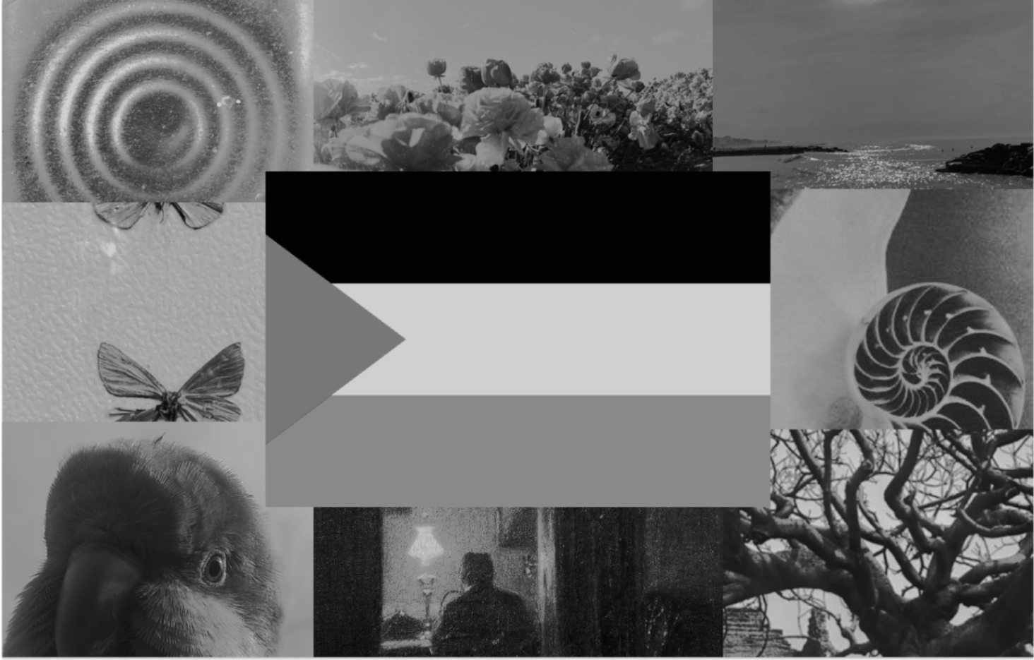 Weekly Digest | 03.08.2025