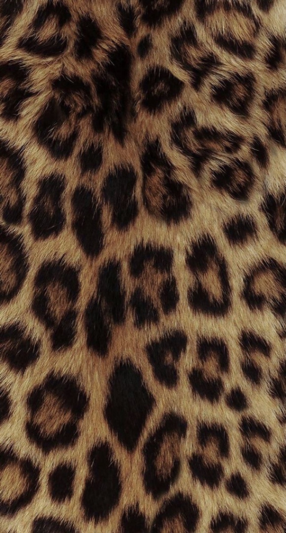 Cheeta cover img