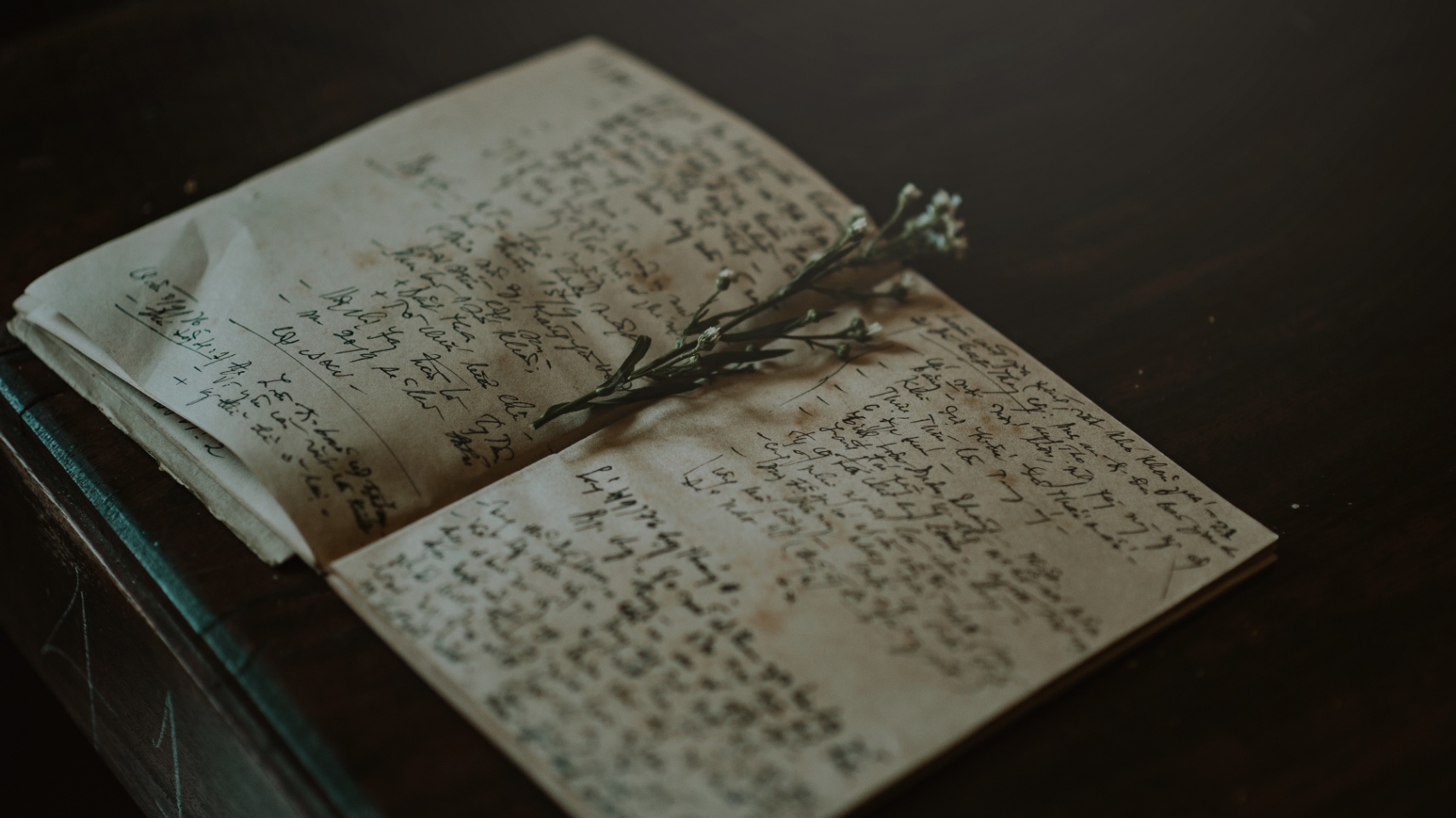 Una carta