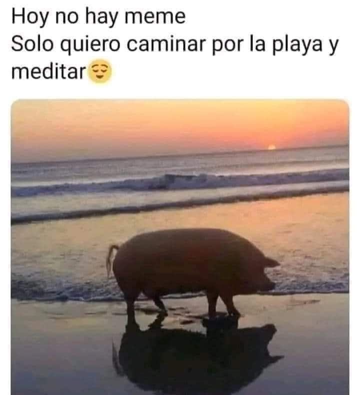 Vacío