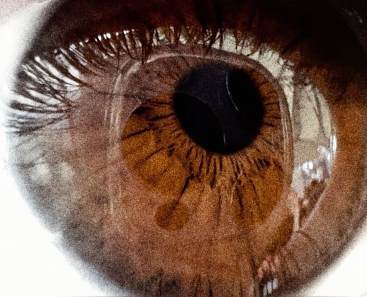 Alèksandre N. Wólkovik. cover img