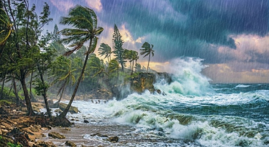 Naturaleza