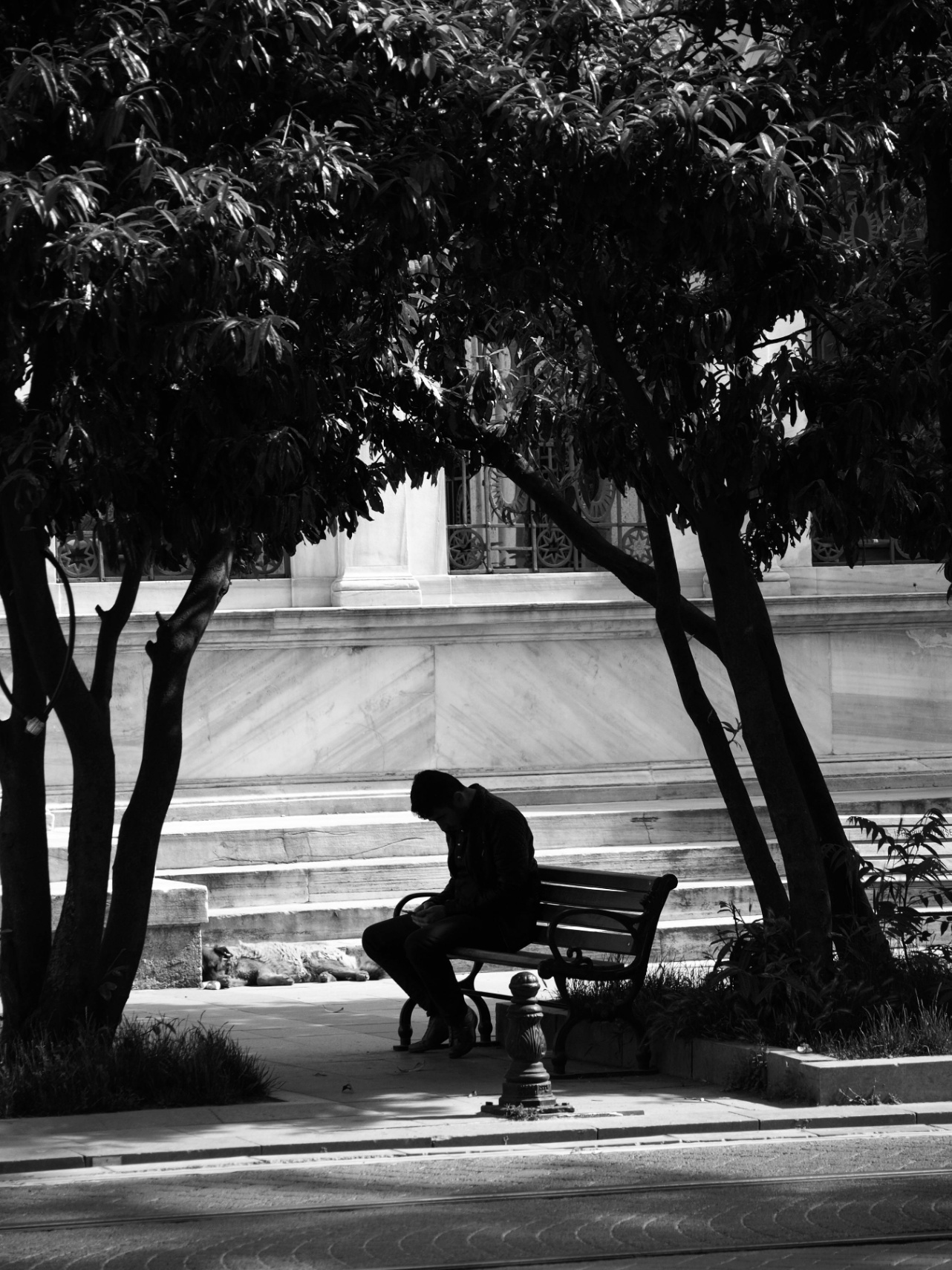 Lo que esperaba de ti 