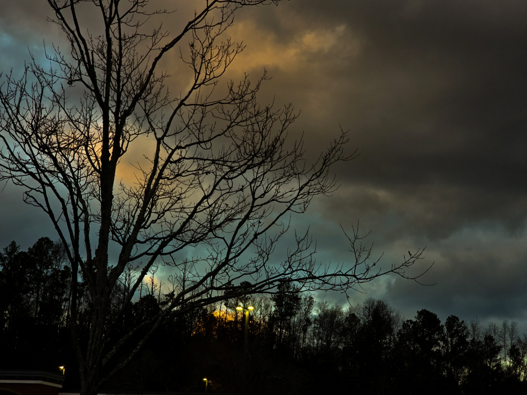 Silueta complaciente