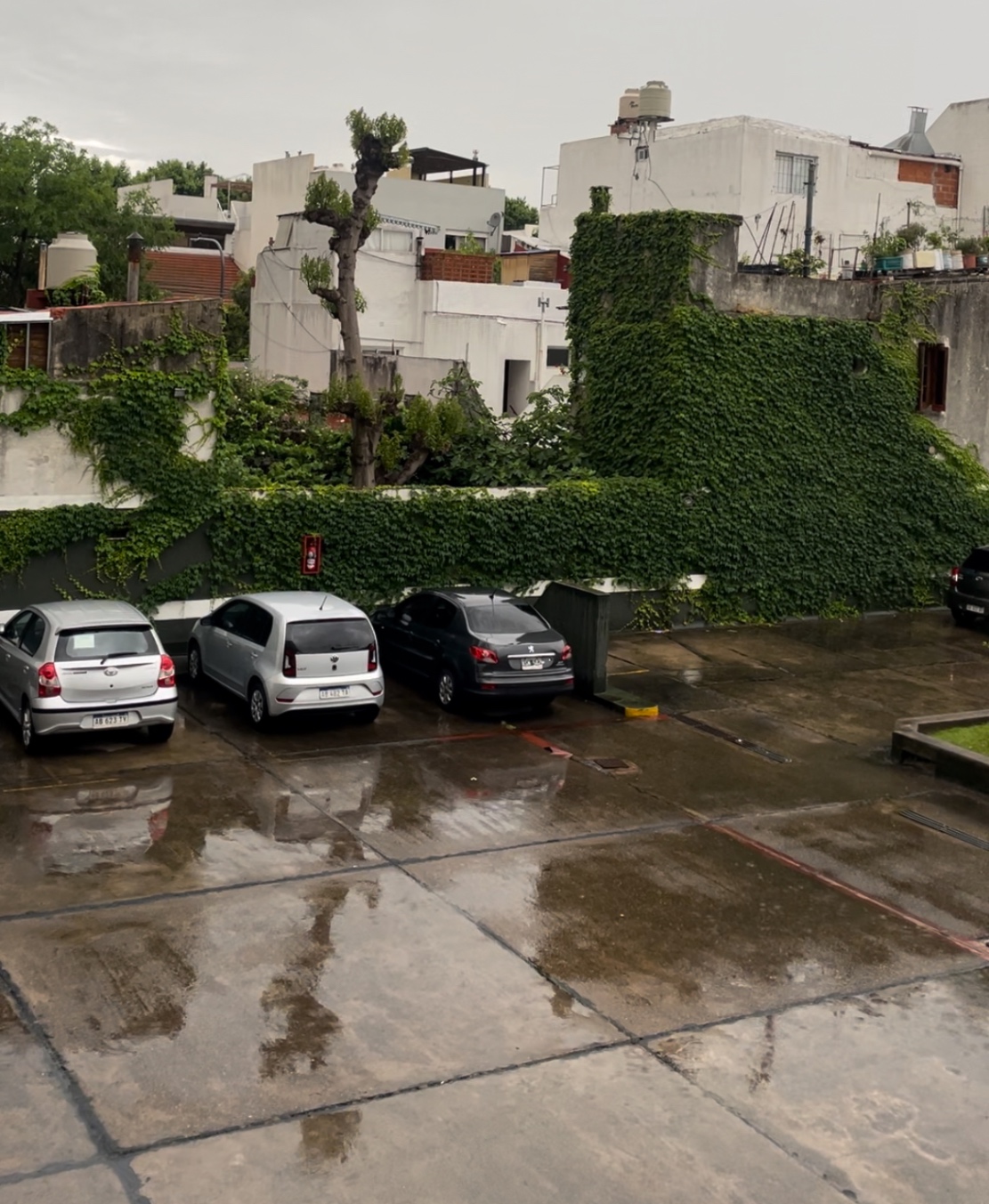 Un domingo lleno de melancolia