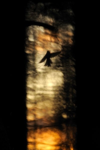 Hambre de Ópalo y Alfiler. 