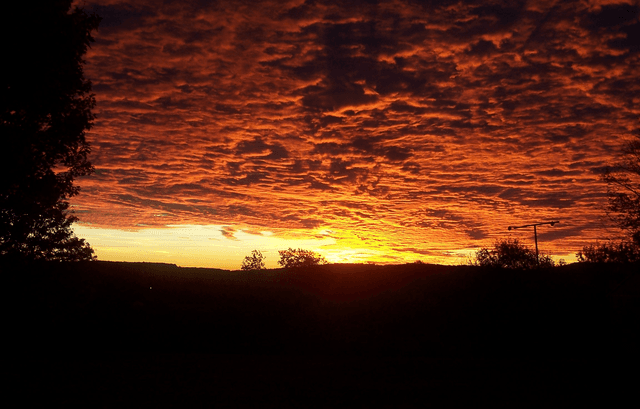 Mi jardín de las palabras