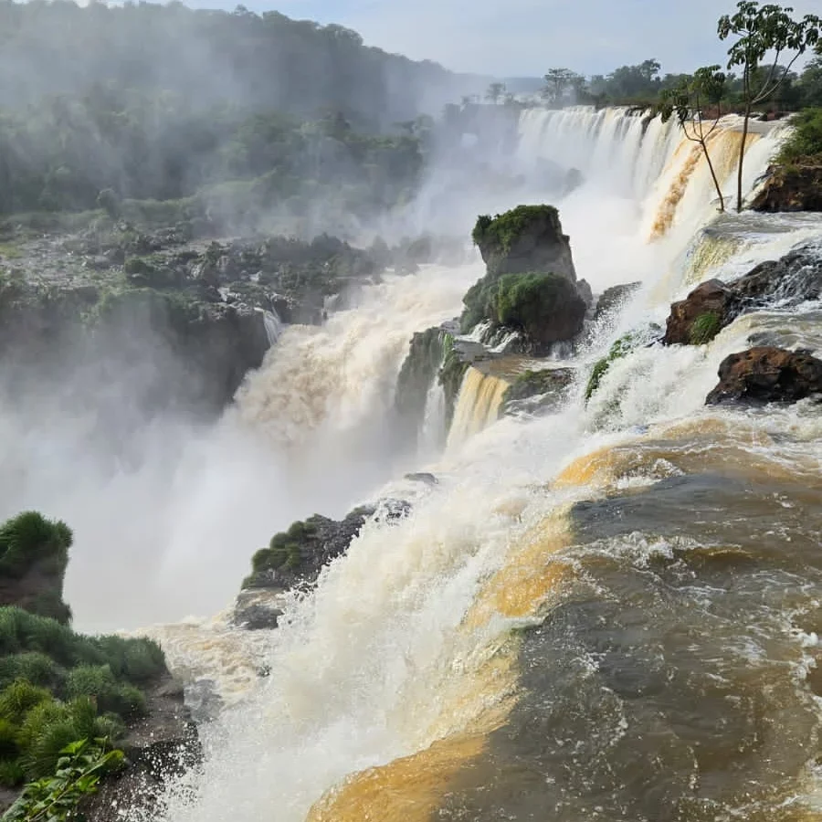 Iguazú en familia.