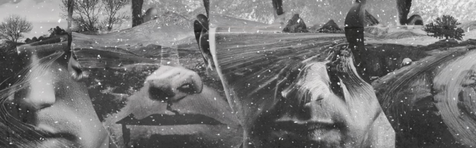 Debí de nacer ciego