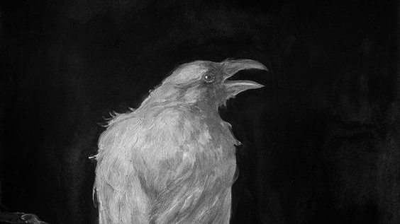 Luzzovico † cover img