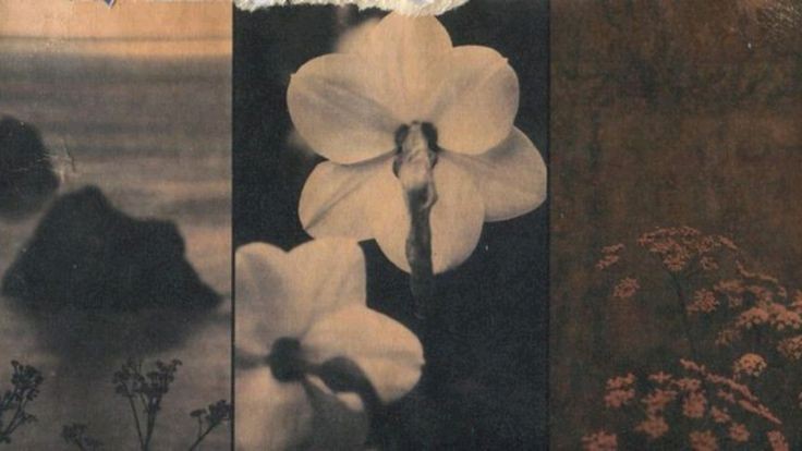 El testigo, con Idea Vilariño