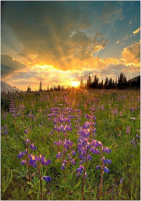 El amanecer después del amanecer