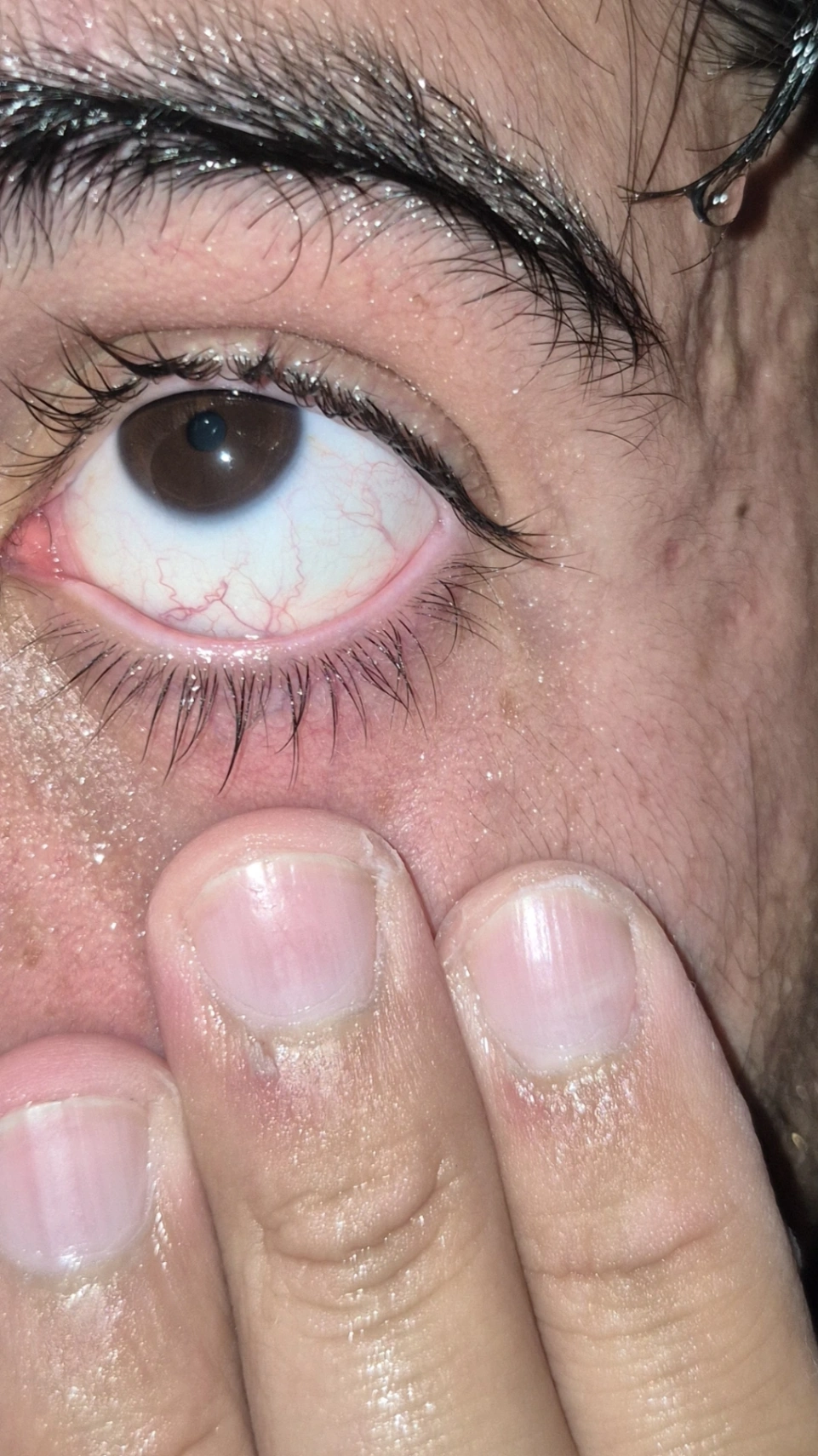 Gabriel Zapata cover img