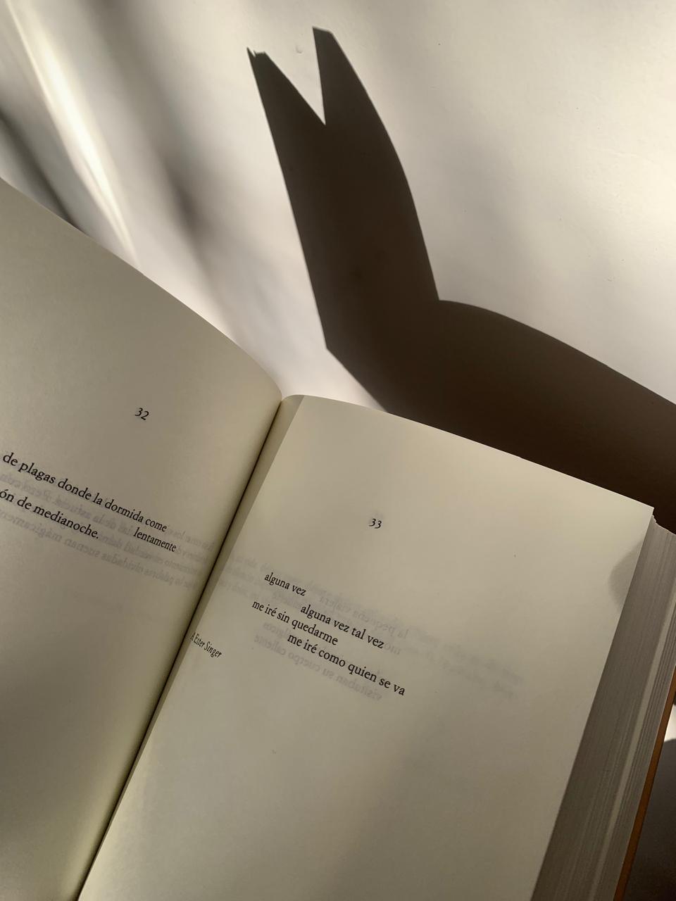 Alejandra, hoy quiero decirte...