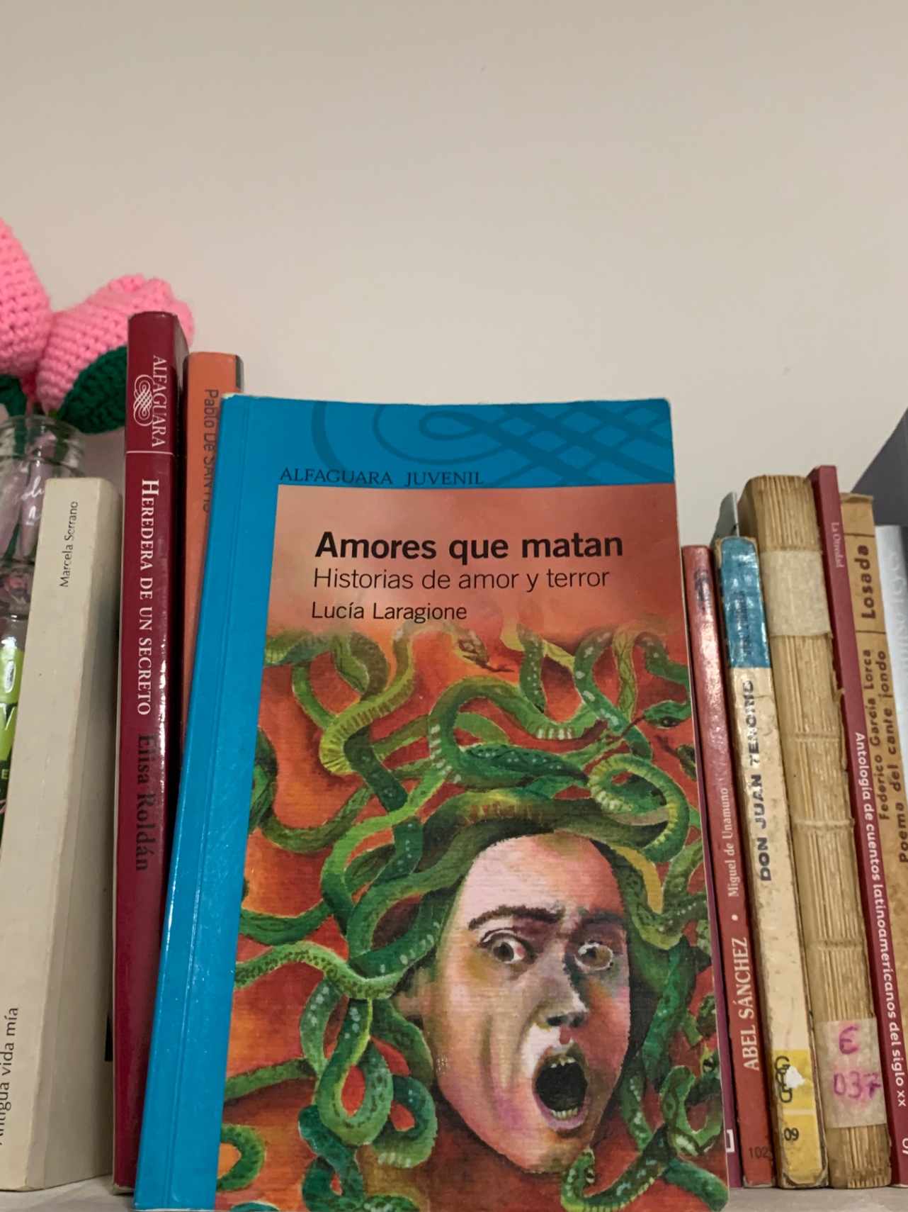 ¿Por qué releer un libro?