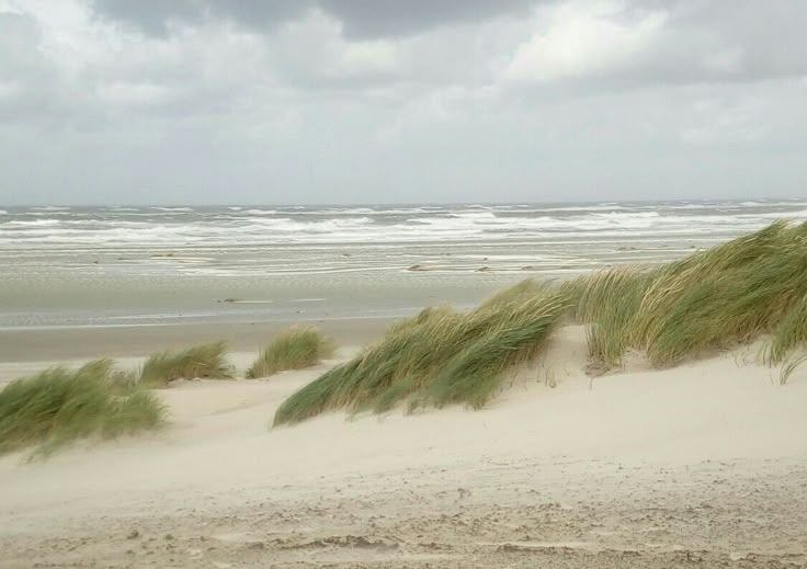 ejercicio 1 - observación