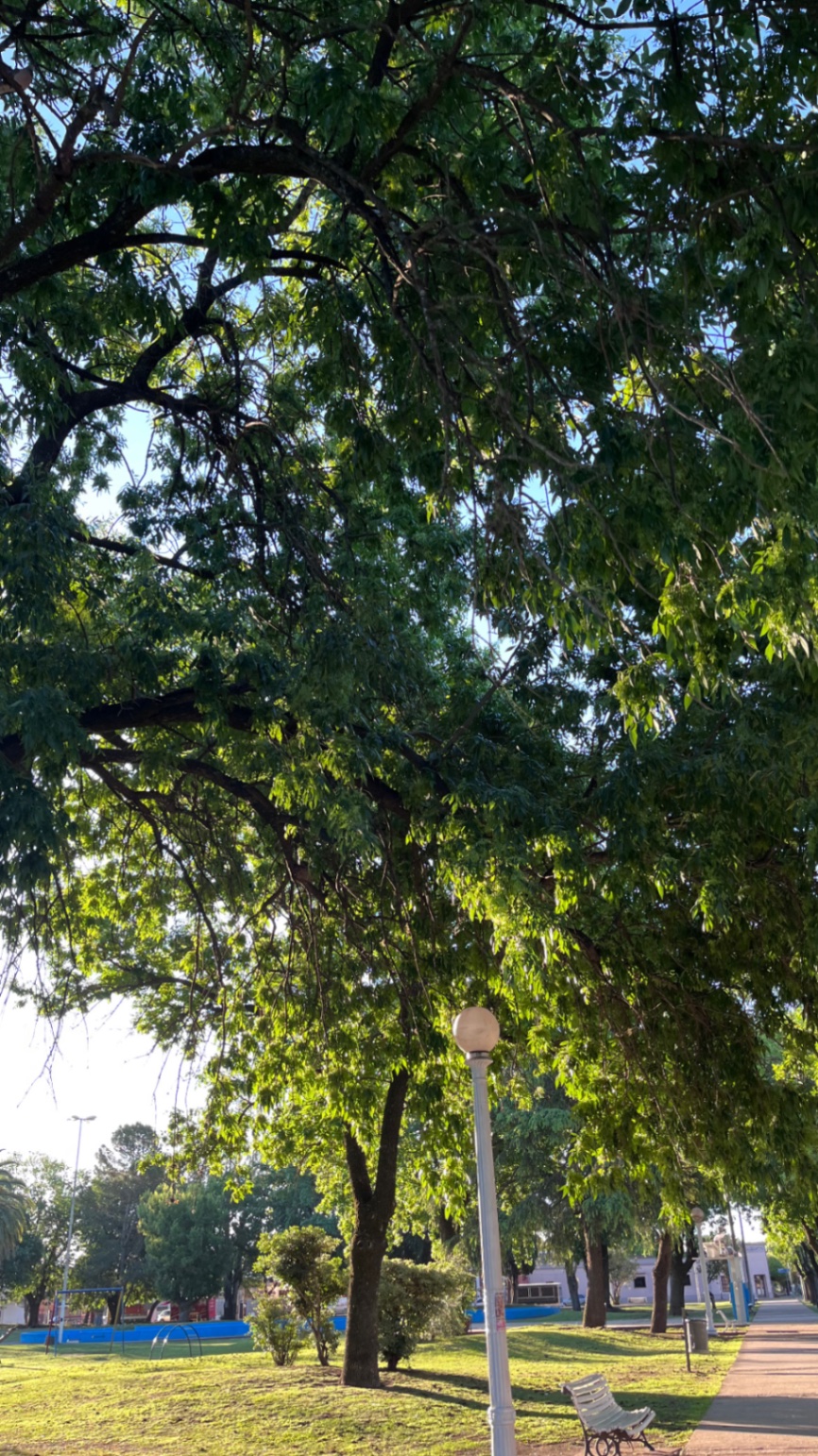 ilovepucca cover img