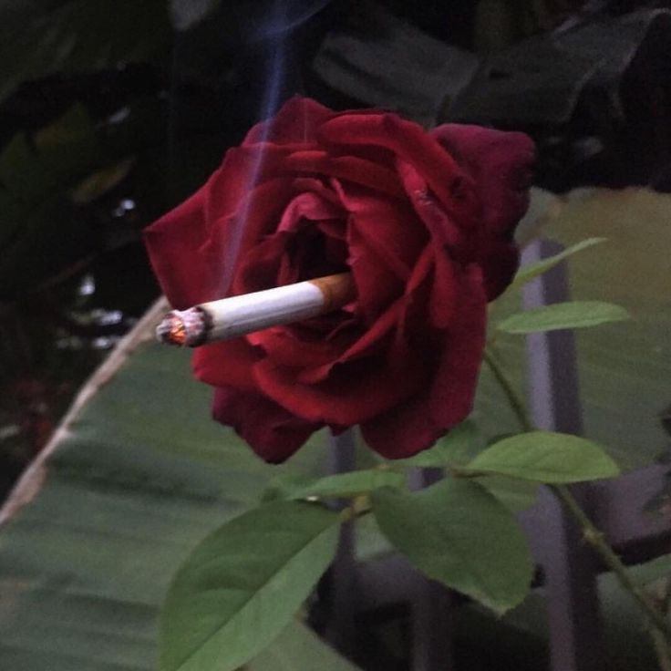 Todo se gasta y el amor también