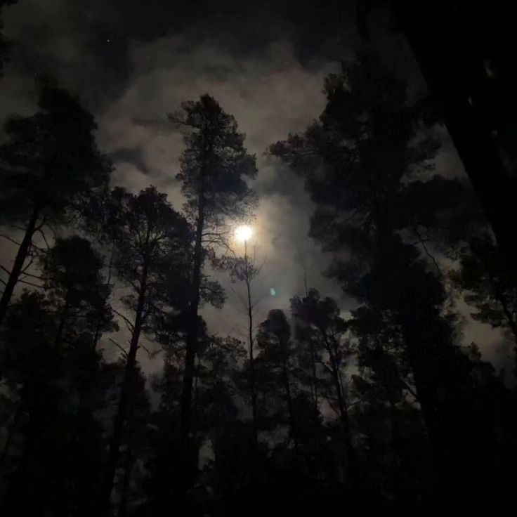 La última noche antes de mi muerte