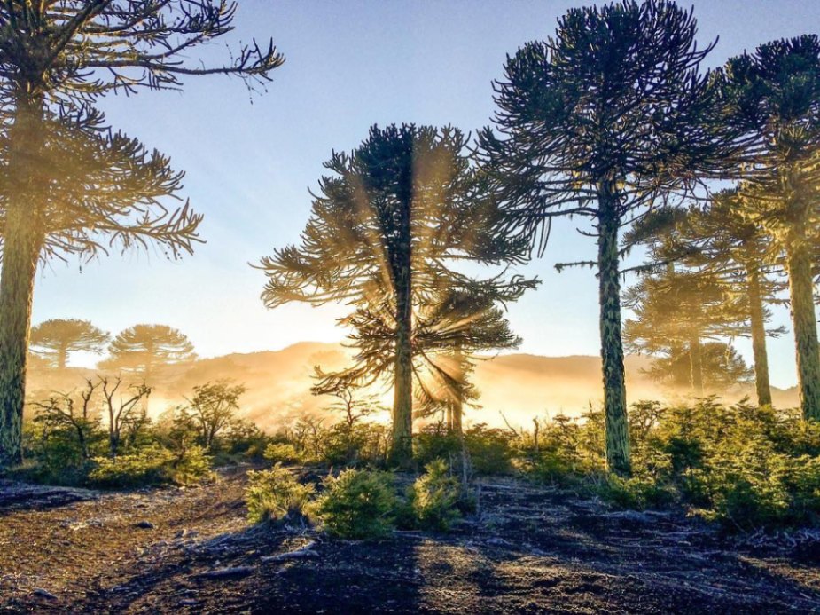 Sol de invierno