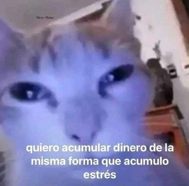 Ya no aguanto el cansancio!!