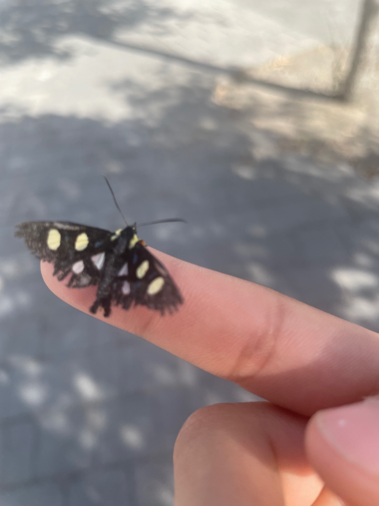 La vida se va tan rápido a la edad que tú decidas 