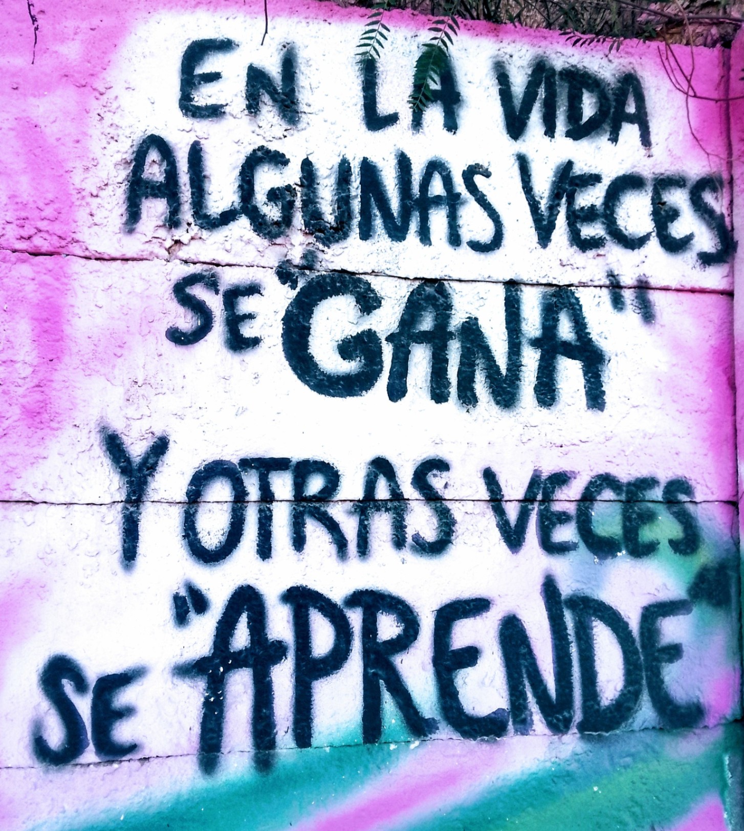 En la vida algunas veces se  "gana" y otras veces se "aprende".- 