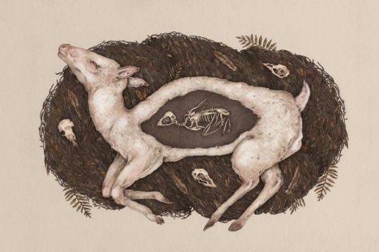 quisiera ser rayo, pero soy polvo