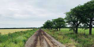 Deriva en los caminos del olvido