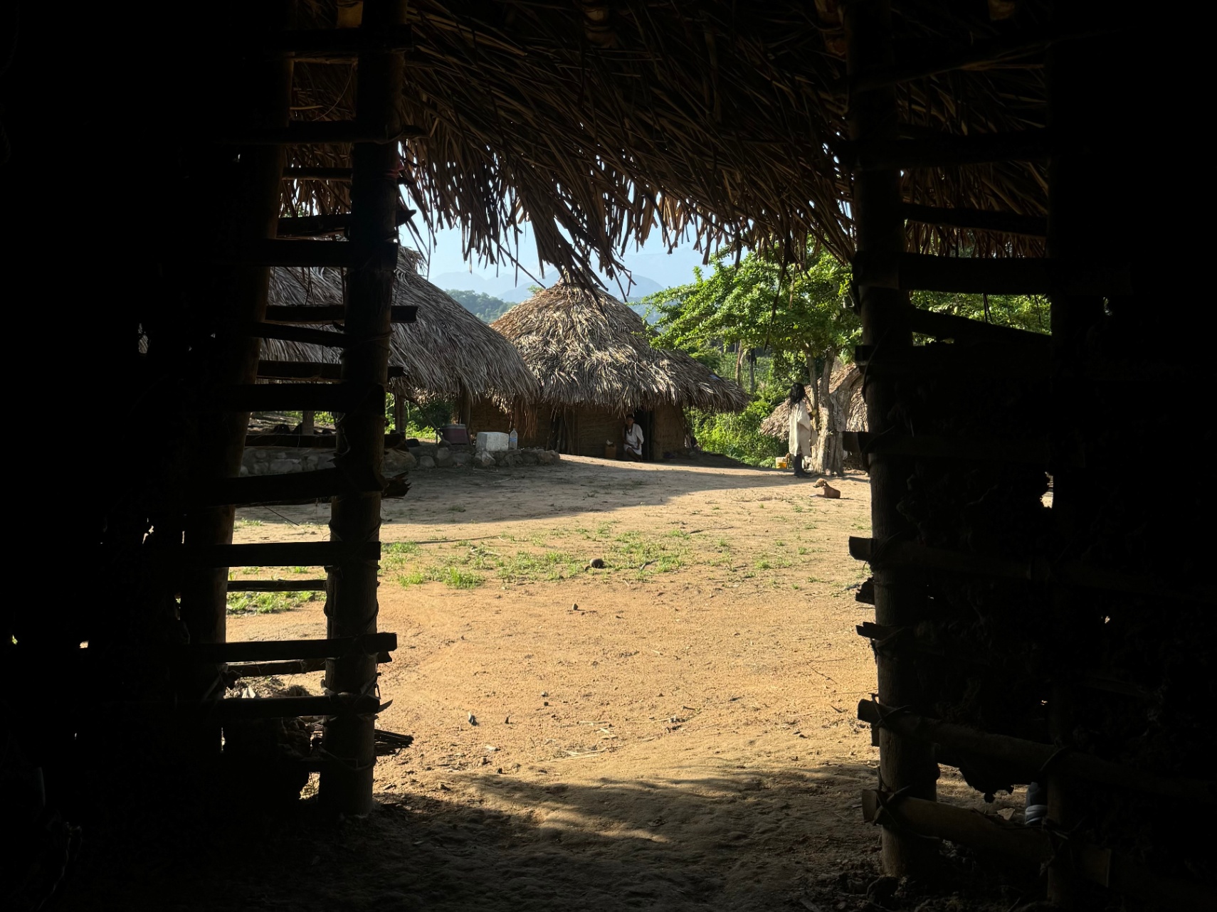 LA TERAPIA ES EL CAMINO