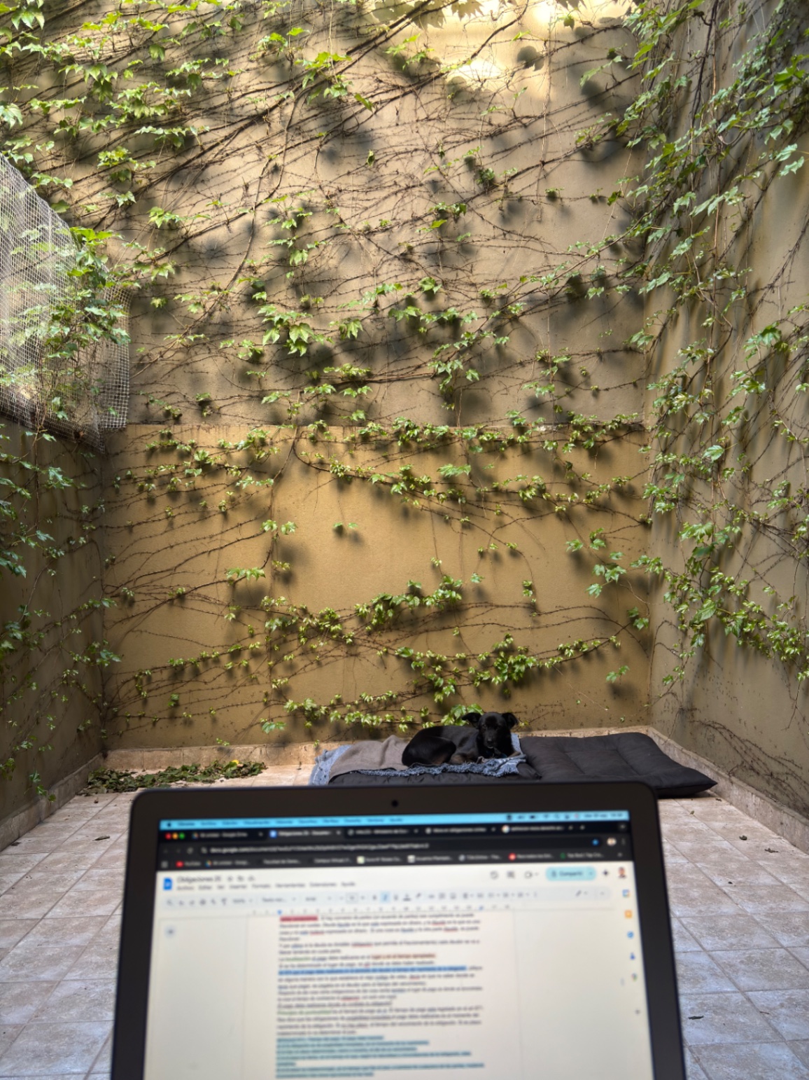 Tomas De Bonis cover img