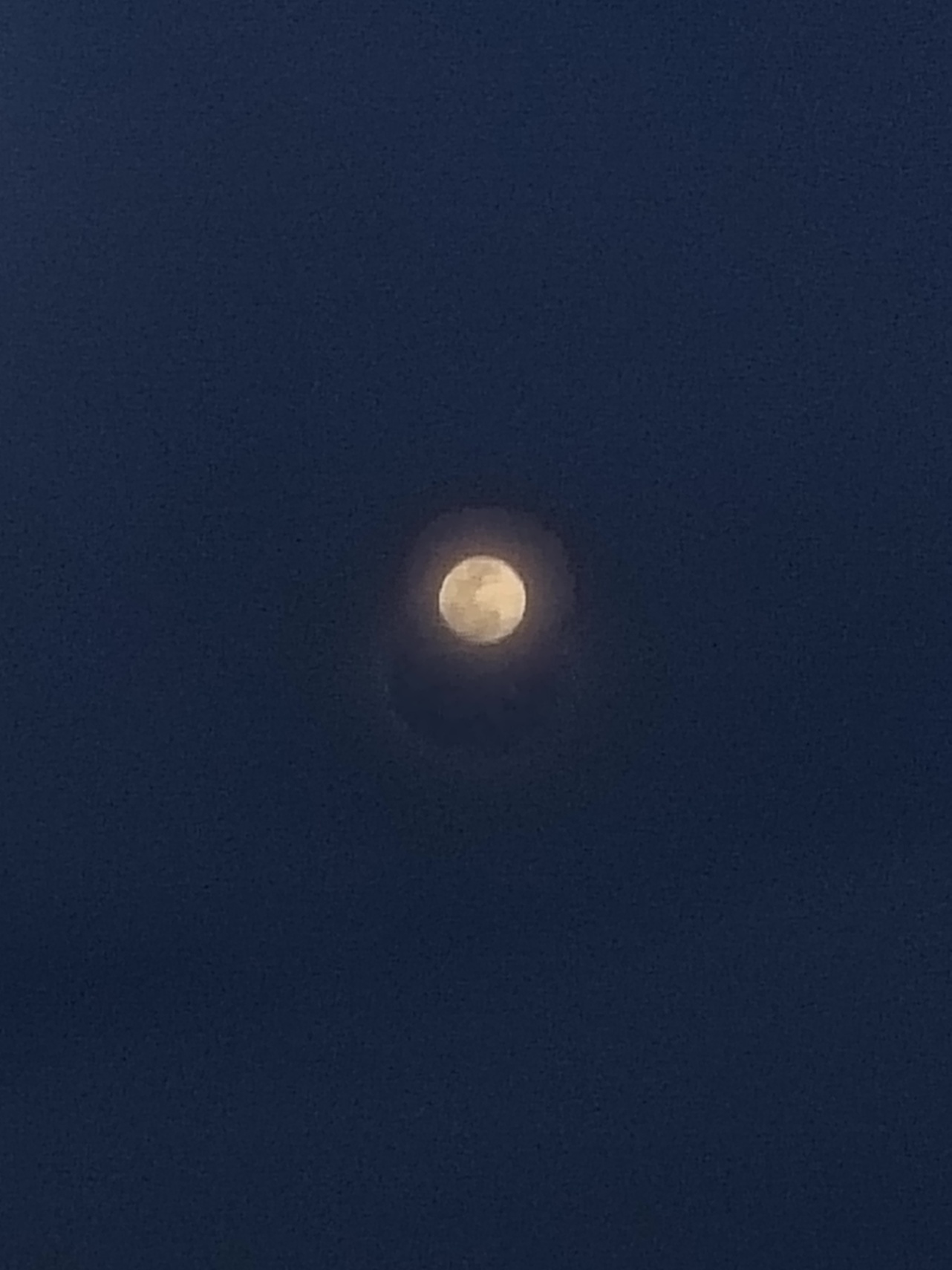 Cassandra  cover img