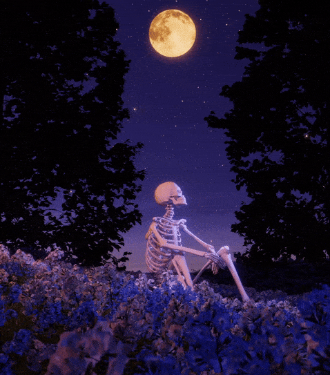 Último escrito para ti