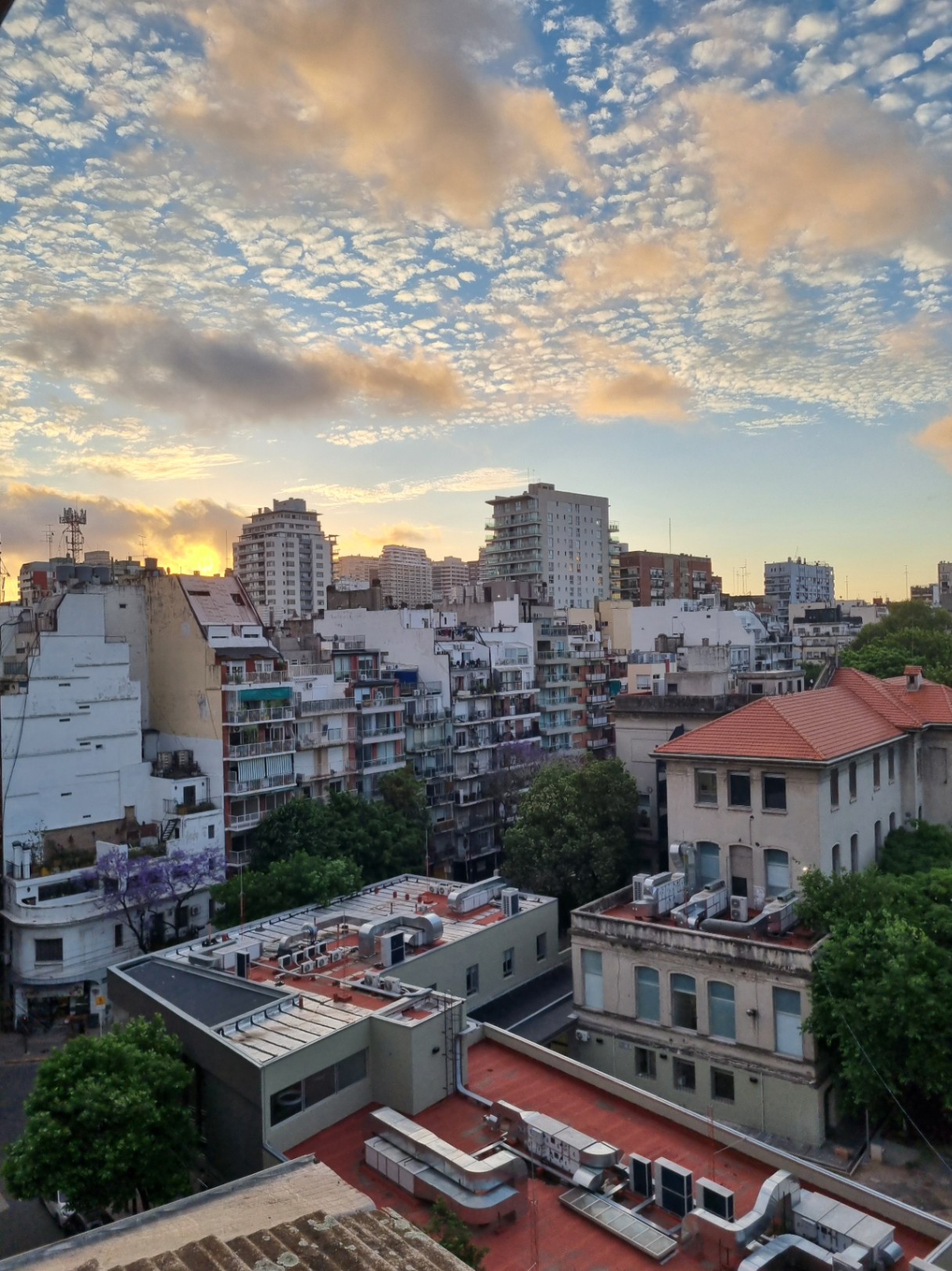 Facundo Diaz cover img