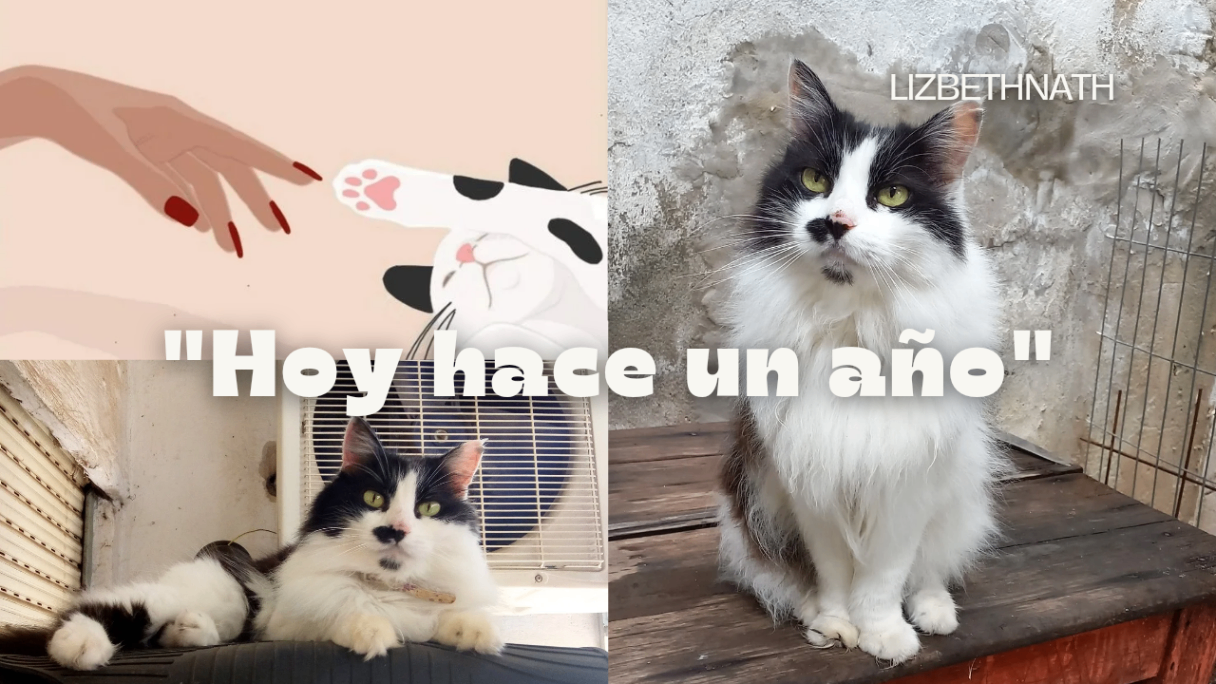 "Hoy hace un año"