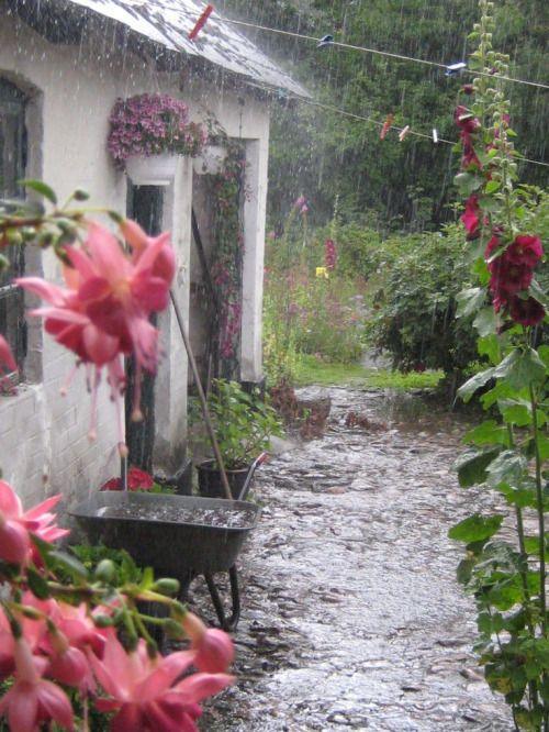 la pelea, el patio