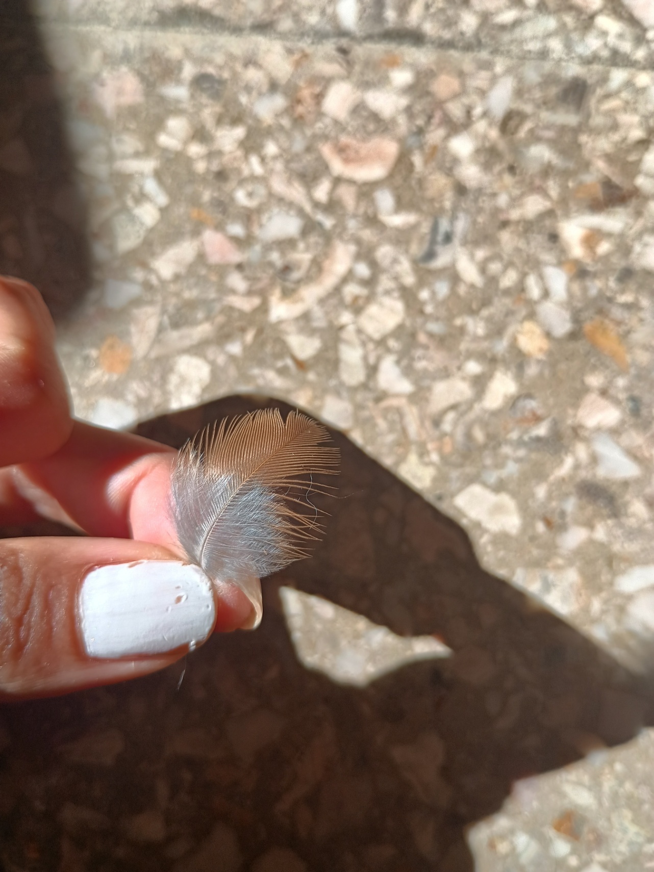 Un color entre la vida y la muerte