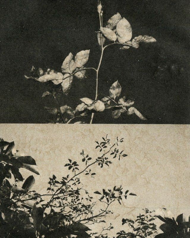 Otoño