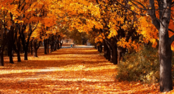 profile img Mey profile img