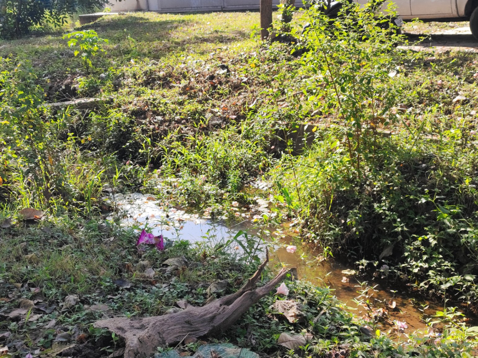 Anestesia  cover img