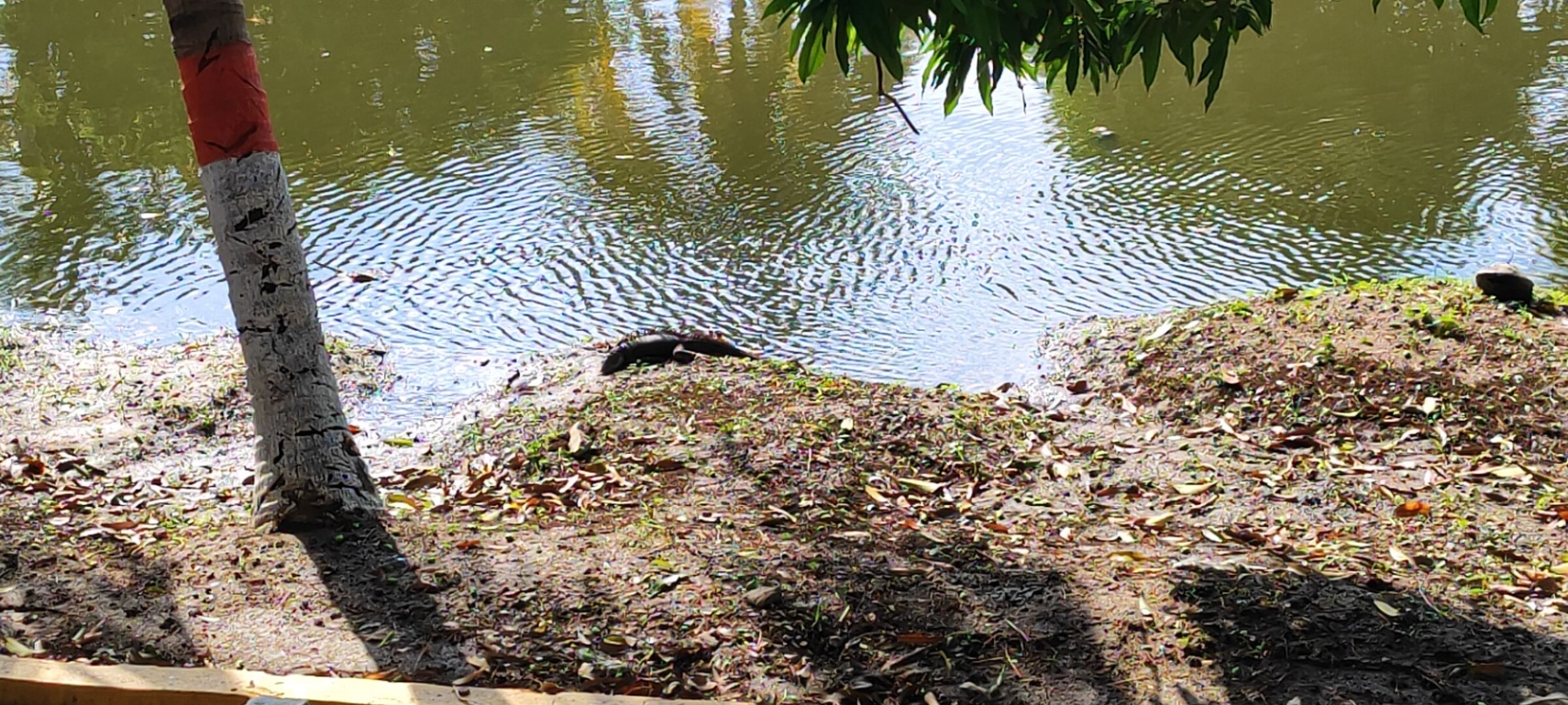 Las Flores lloran en Marzo