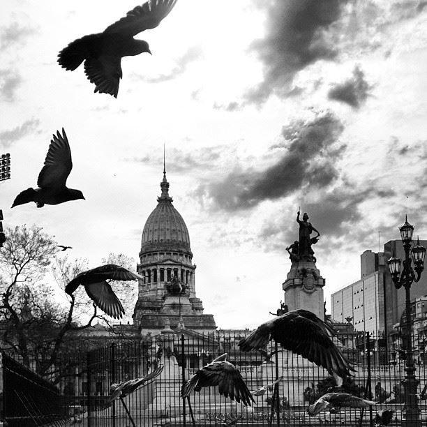 Derecho y Economía: La ley como límite y garantía del mercado 