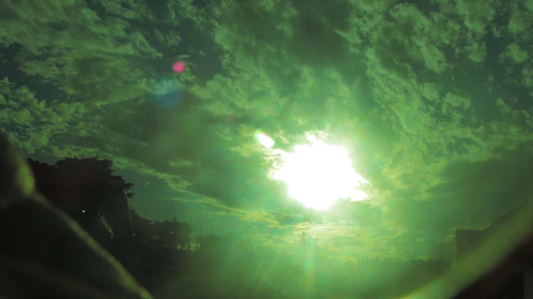 jazmín de septiembre cover img